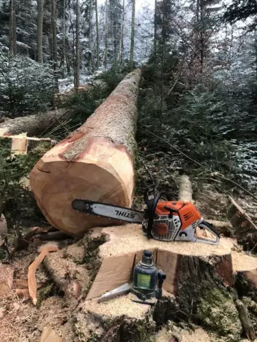 Bûcheronnage