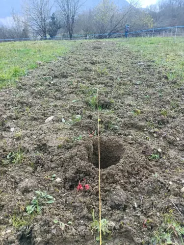 Plantation-truffe-2